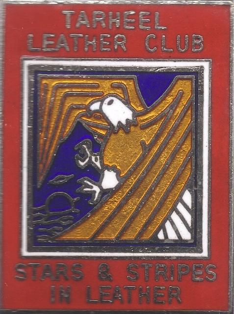 Stars & Stripes Run Pin